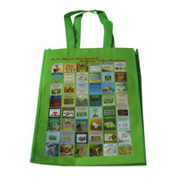 合肥LB11覆膜无纺布广告袋