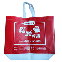 合肥LB37培训班广告袋